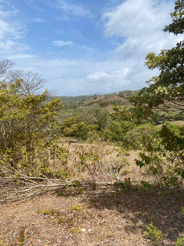 SALE OF FARM IN THE PLAIN SECTOR