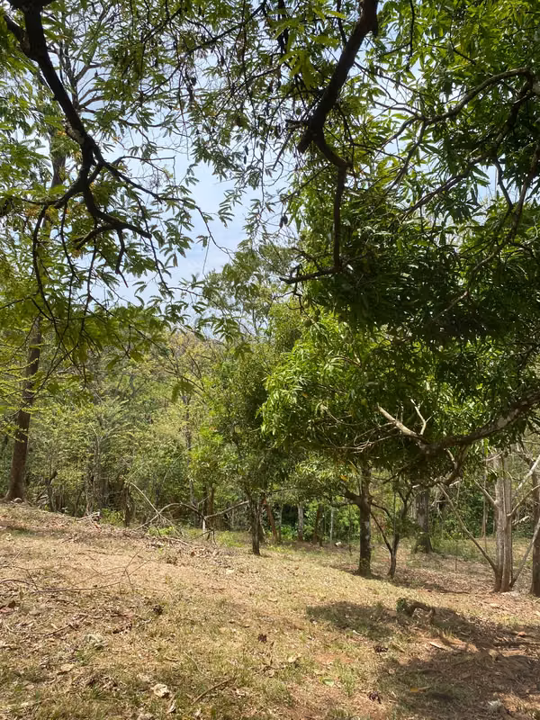 SALE OF FARM IN THE PLAIN SECTOR