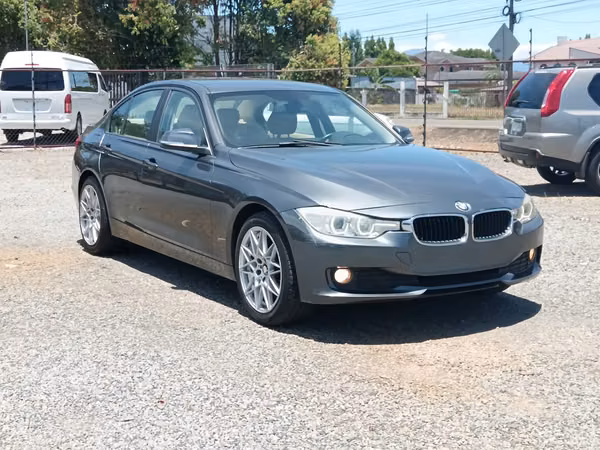 BMW 316i 2013 Paquete M