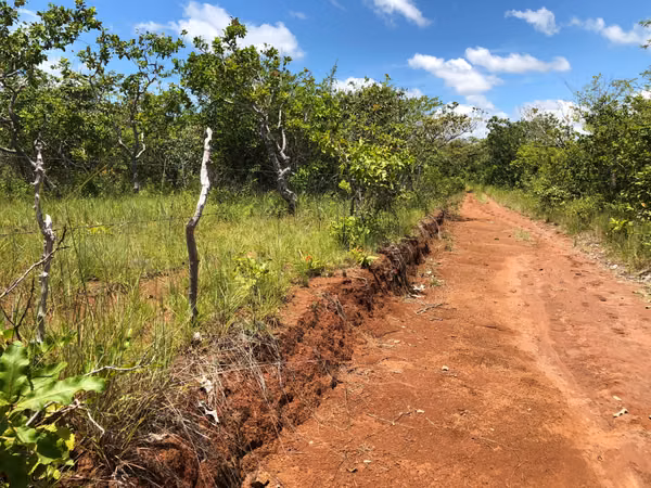 $2,162 PER HECTARE. FOR SALE: 83 HECTARES WITH TITLE, LAS GUIAS, ABOVE CALOBRE.