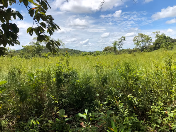 $2,162 PER HECTARE. FOR SALE: 83 HECTARES WITH TITLE, LAS GUIAS, ABOVE CALOBRE.