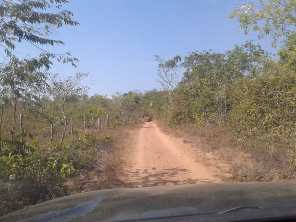 $2,162 PER HECTARE. FOR SALE: 83 HECTARES WITH TITLE, LAS GUIAS, ABOVE CALOBRE.