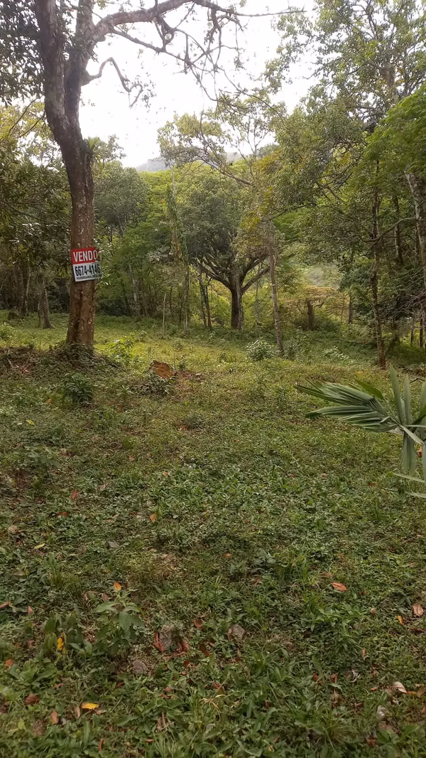 Sell Lot of 1 Hectarea in the Caribbean Hill sector - EL VALLE