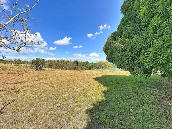 Land for Sale in Lagomar – Vía La Ensenada, San Carlos