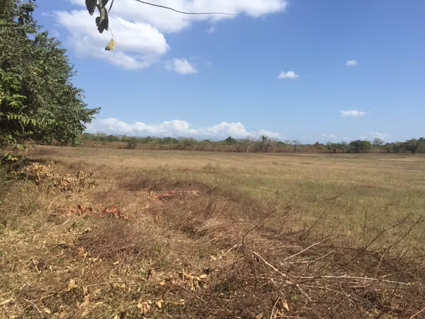 Prime 4.4-Hectare Flat Land Near Buenaventura &amp; Playa Blanca