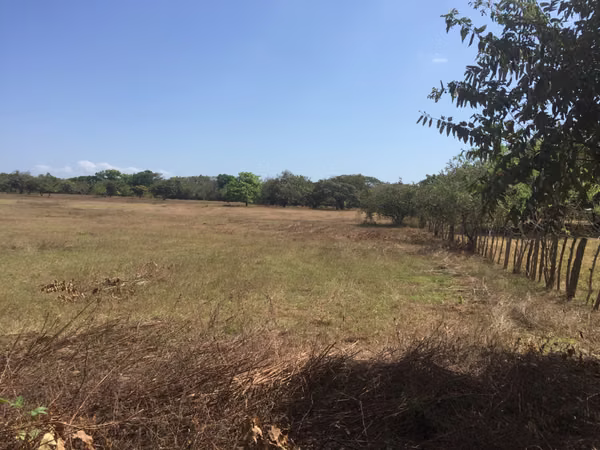Prime 4.4-Hectare Flat Land Near Buenaventura &amp; Playa Blanca