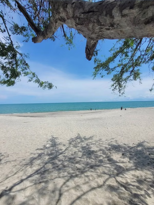 Prime 4.4-Hectare Flat Land Near Buenaventura &amp; Playa Blanca