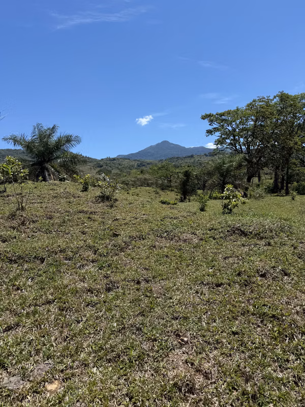 Se Venden 22.5 hectáreas a 2.95 mt2  Boquete espectaculares vistas