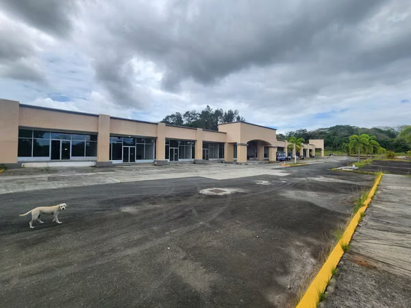 Melissa Foster Luxury is selling a shopping center project in Nuevo Emperador. MFR1969