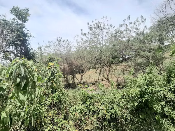 GRAN OPORTUNIDAD! VENDO FINCA EN CAPIRA VILLA ROSARIO