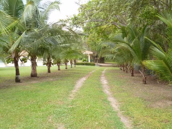 VENTA CASA + TERRENO NUEVA GORGONA