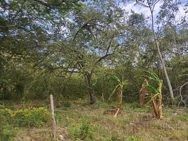 Venta de terreno en Bijagual, Antón – 1.29 hectáreas