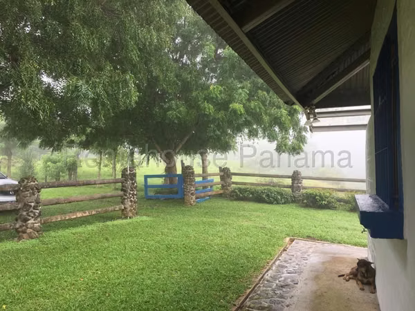 Farm for Sale in Sora JG