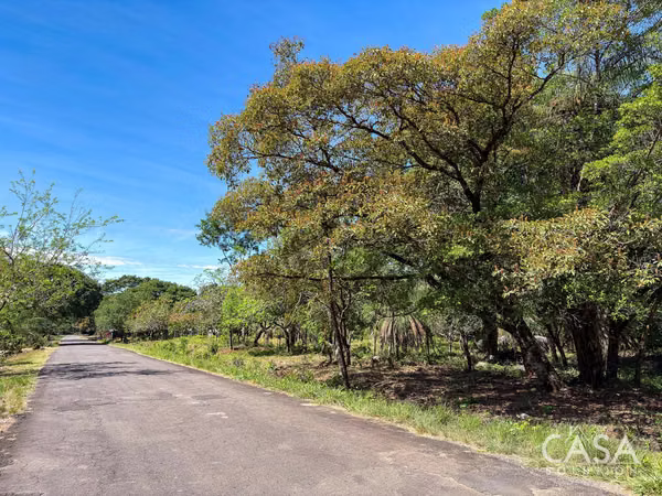 Great Offer! Flat 9,445 sqm Lot on Paved Road for Sale in Caldera, Boquete