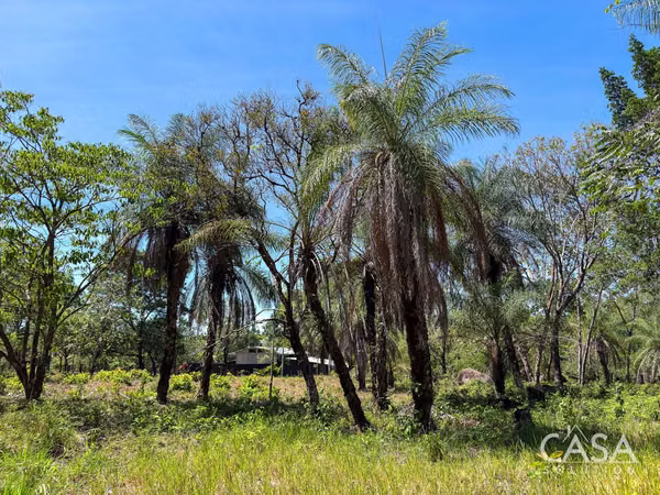 Great Offer! Flat 9,445 sqm Lot on Paved Road for Sale in Caldera, Boquete
