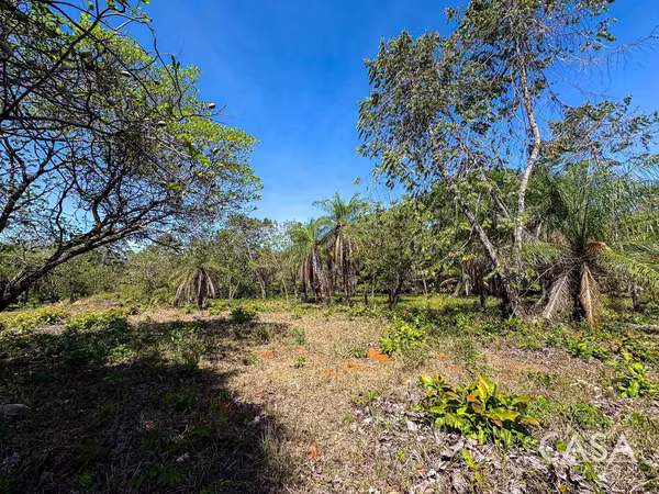 Great Offer! Flat 9,445 sqm Lot on Paved Road for Sale in Caldera, Boquete