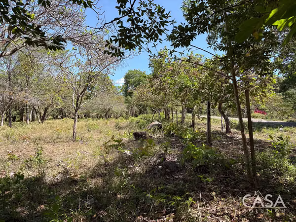 Great Offer! Flat 9,445 sqm Lot on Paved Road for Sale in Caldera, Boquete