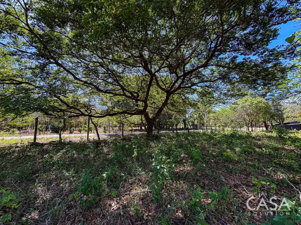 Great Offer! Flat 9,445 sqm Lot on Paved Road for Sale in Caldera, Boquete