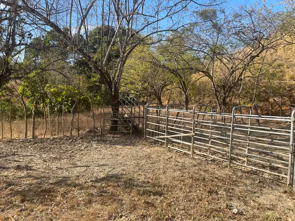 SE VENDEN 32 Has en la via de AGUA BUENA de PEDASÍ