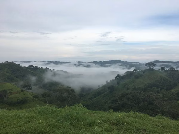 SE VENDEN 32 Has en la via de AGUA BUENA de PEDASÍ