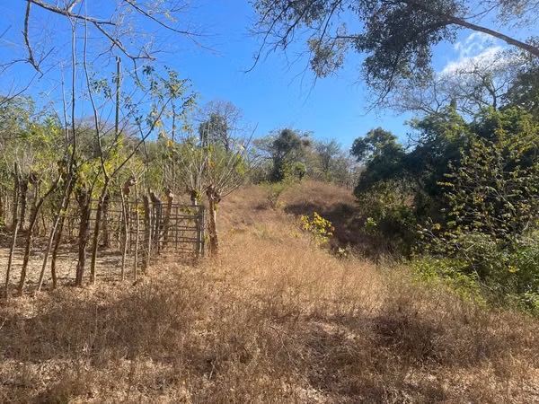 SE VENDEN 32 Has en la via de AGUA BUENA de PEDASÍ