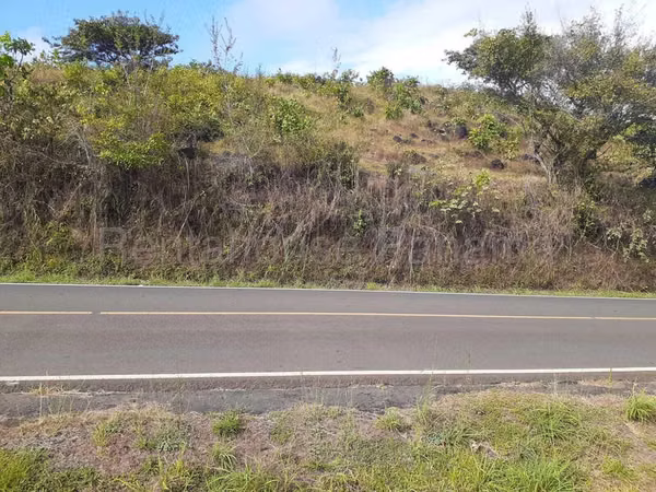Land Sale in Bisvalles BDP