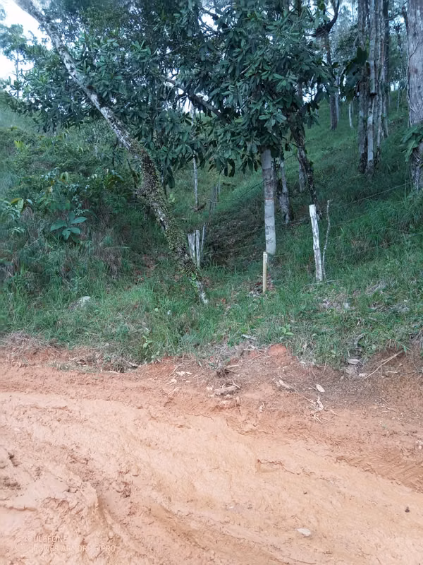 20 Hectareas in Cerro Azul, 124; Altos del Pacora for sale
