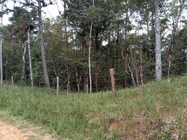 20 Hectareas in Cerro Azul, 124; Altos del Pacora for sale