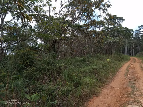 20 Hectareas in Cerro Azul, 124; Altos del Pacora for sale