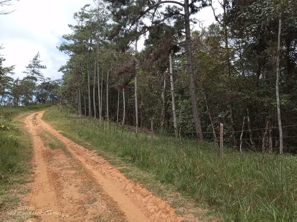 20 Hectareas in Cerro Azul, 124; Altos del Pacora for sale