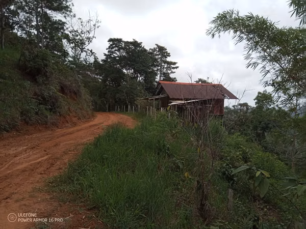20 Hectareas in Cerro Azul, 124; Altos del Pacora for sale
