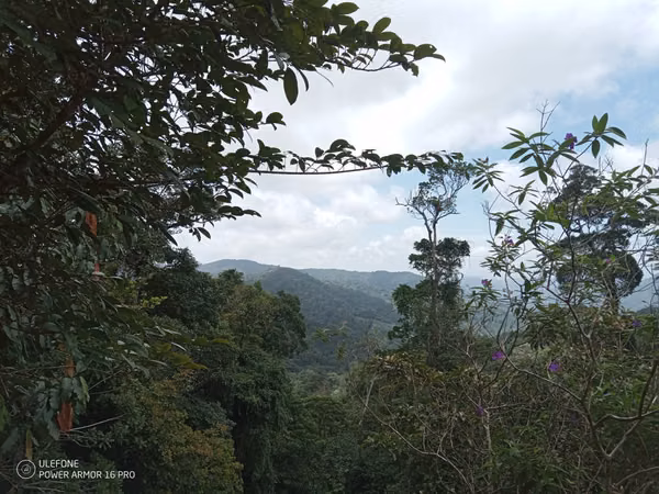 20 Hectareas in Cerro Azul, 124; Altos del Pacora for sale