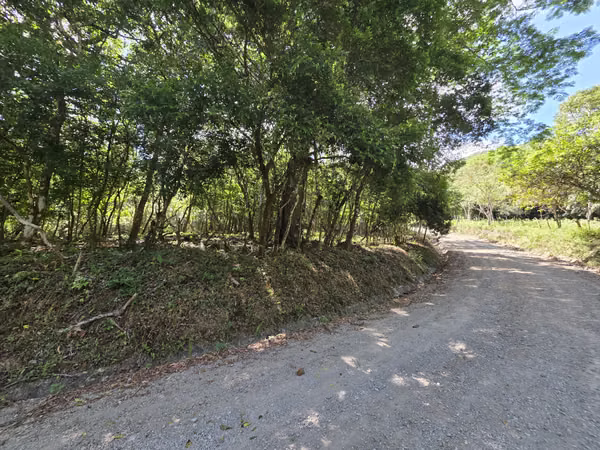 SELL LOT OF 3130.68 MTS2 IN THE VALLEY
