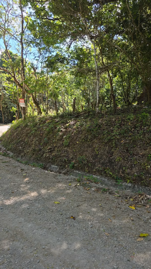 SELL LOT OF 3130.68 MTS2 IN THE VALLEY