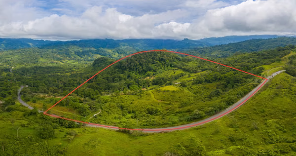 For sale land of 20 acres (8 hectares) in La Pintada take advantage $1.24 x mts2