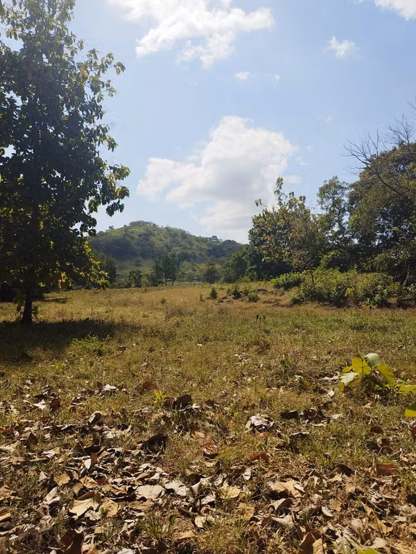 FINCA DE 18 HAS EN VENTA LOS CERRITOS CHAME EXCELENTE UBICACIÓN (CAMRO)