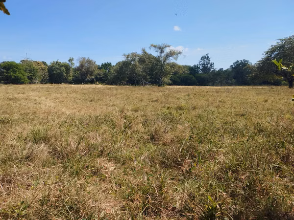 FINCA DE 18 HAS EN VENTA LOS CERRITOS CHAME EXCELENTE UBICACIÓN (CAMRO)