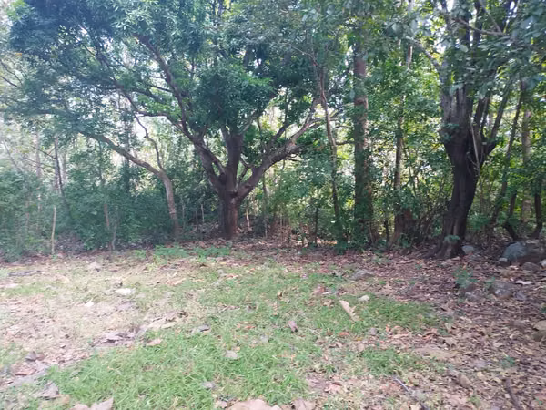 FINCA DE 18 HAS EN VENTA LOS CERRITOS CHAME EXCELENTE UBICACIÓN (CAMRO)