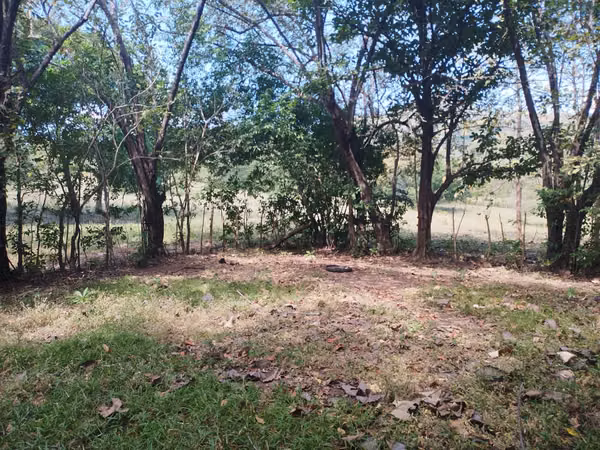 FINCA DE 18 HAS EN VENTA LOS CERRITOS CHAME EXCELENTE UBICACIÓN (CAMRO)