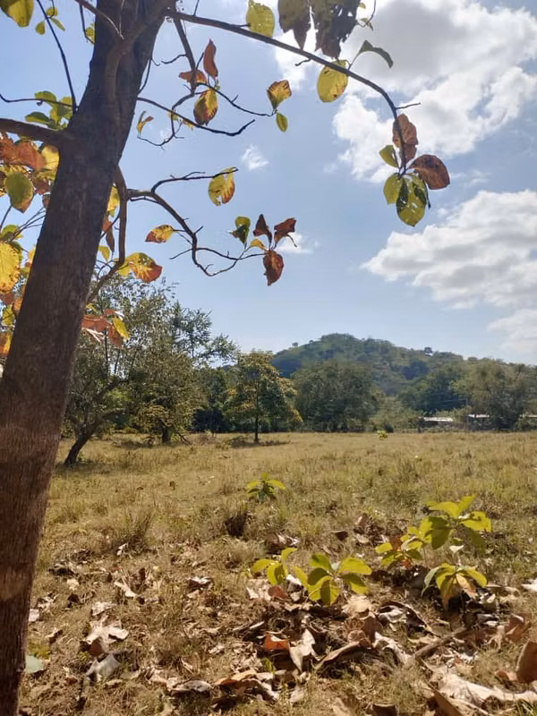 FINCA DE 18 HAS EN VENTA LOS CERRITOS CHAME EXCELENTE UBICACIÓN (CAMRO)