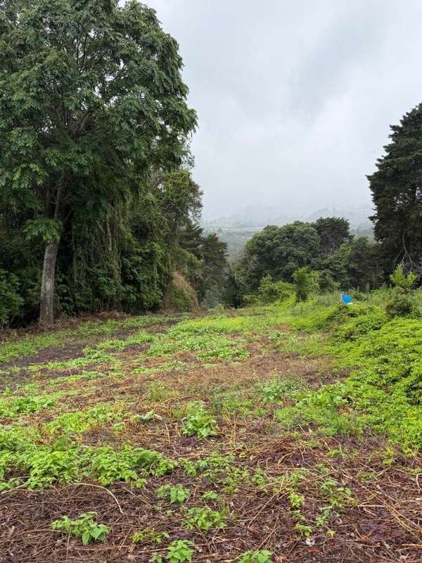 Se vende 2000 mts2 Volcán 60 mil
