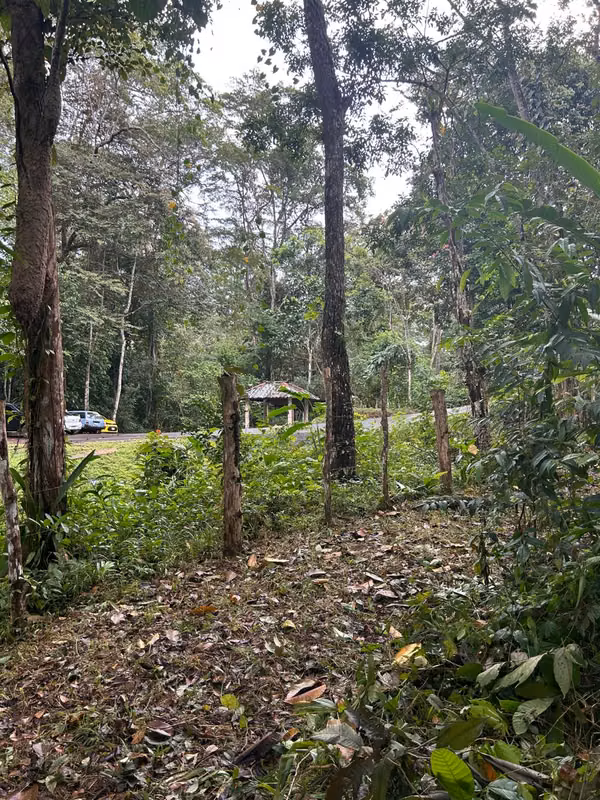 EN VENTA –FINCA RIVERA DEL CACAO &amp; TRINIDAD