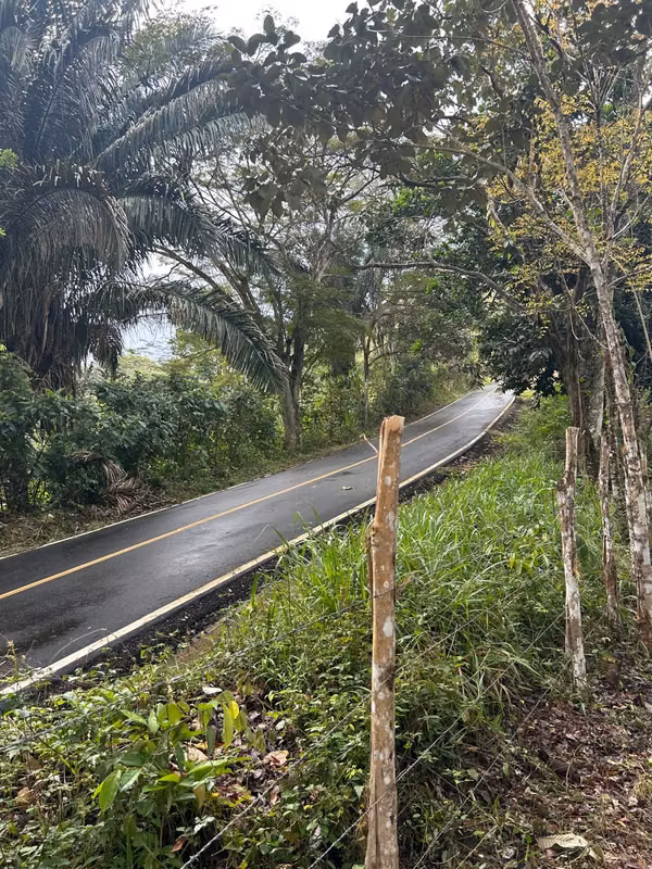EN VENTA –FINCA RIVERA DEL CACAO &amp; TRINIDAD