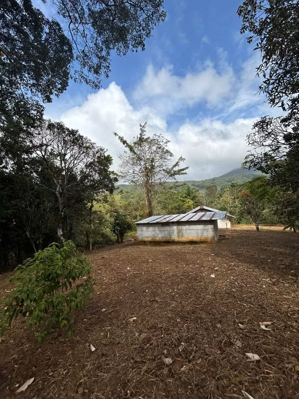 EN VENTA –FINCA RIVERA DEL CACAO &amp; TRINIDAD