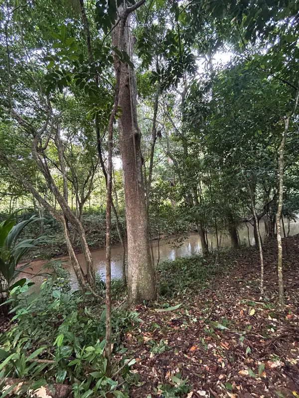 EN VENTA –FINCA RIVERA DEL CACAO &amp; TRINIDAD