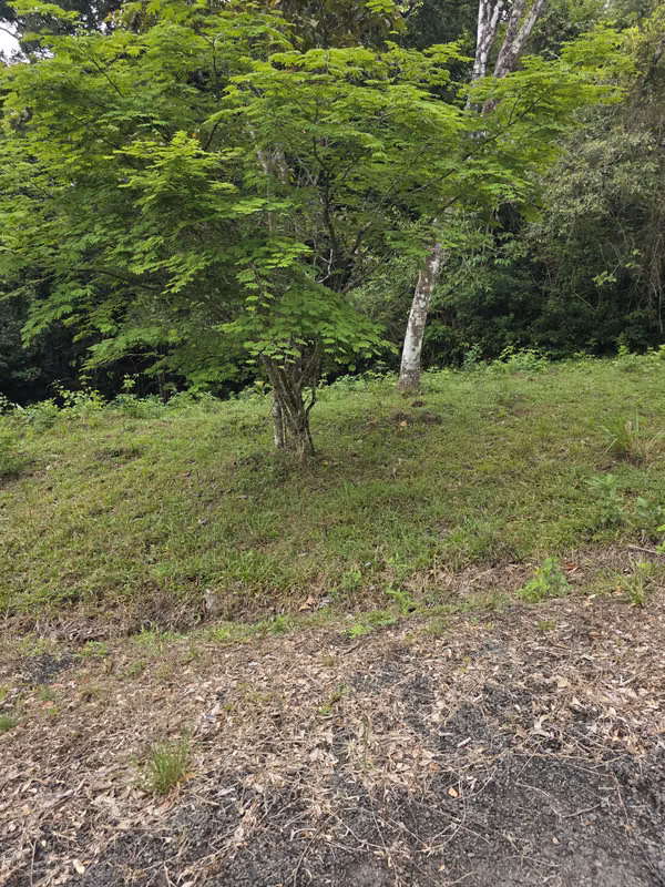 VENDO LOTE DE 2500Mts EN EL VALLE