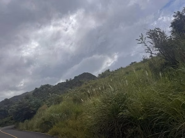 Vendo Hermosa Finca Capira 37 Hectáreas $1,150,000