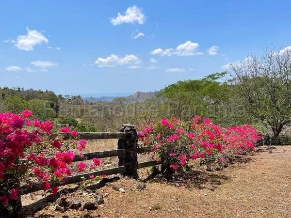 Sale of beautiful farms