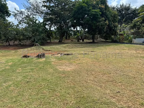 Terreno En Venta En Chorrera ABS