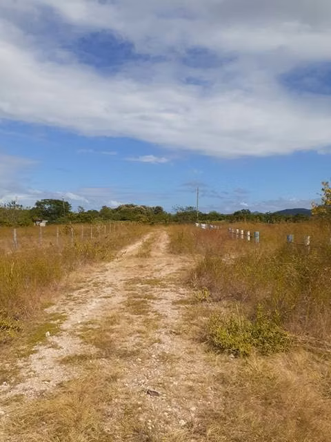 Finca in Penonome